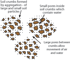 Soil structure | Te Kura Horticulture