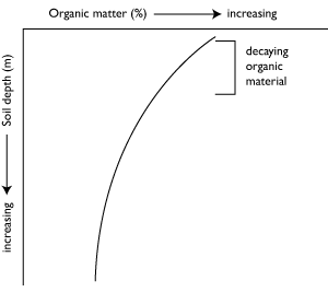 Effect of soil depth on organic matter