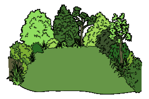 An unbroken sweep of lawn surrounded by shrubs can create visual interest and privacy.