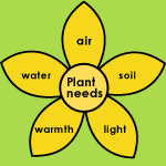 Choosing a site | Te Kura Horticulture