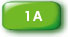 Complete Activity 1A below